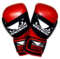 sport & boxing gloves free transparent png image.