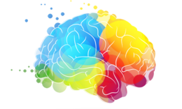 people & Brain free transparent png image.