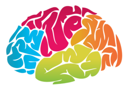 people & Brain free transparent png image.