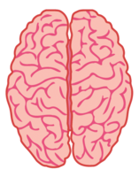 people & brain free transparent png image.