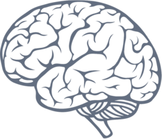 people & brain free transparent png image.