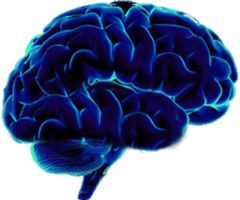 people & Brain free transparent png image.