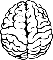 people & Brain free transparent png image.