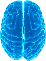 people & Brain free transparent png image.