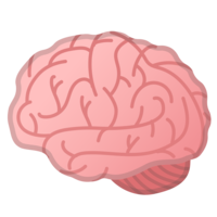 people & brain free transparent png image.