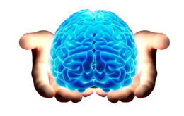 people & Brain free transparent png image.