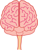 people & Brain free transparent png image.