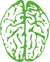 people & brain free transparent png image.