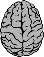 people & brain free transparent png image.