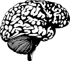 people & Brain free transparent png image.