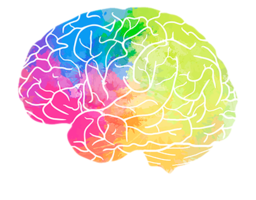 people & brain free transparent png image.