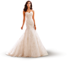 people & Bride free transparent png image.