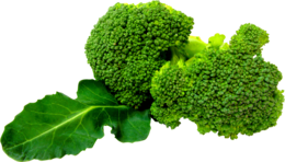 vegetables & broccoli free transparent png image.