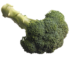 vegetables & Broccoli free transparent png image.