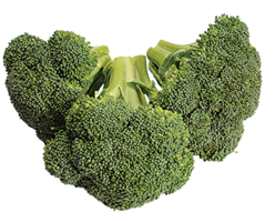 vegetables & Broccoli free transparent png image.