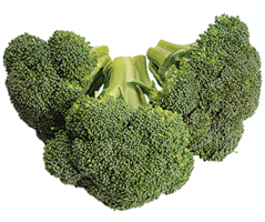 vegetables & broccoli free transparent png image.