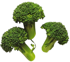 vegetables & broccoli free transparent png image.