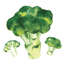 vegetables & Broccoli free transparent png image.