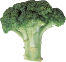 vegetables & broccoli free transparent png image.