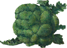 vegetables & broccoli free transparent png image.