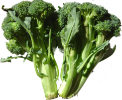 vegetables & broccoli free transparent png image.