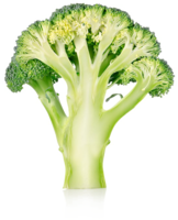 vegetables & broccoli free transparent png image.