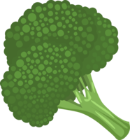 vegetables & broccoli free transparent png image.