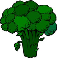 vegetables & Broccoli free transparent png image.