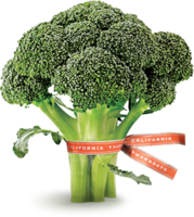 vegetables & broccoli free transparent png image.