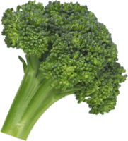 vegetables & broccoli free transparent png image.