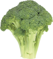 vegetables & Broccoli free transparent png image.