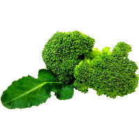 vegetables & Broccoli free transparent png image.