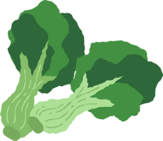 vegetables & broccoli free transparent png image.