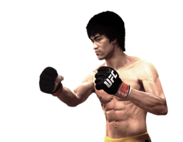 celebrities & bruce lee free transparent png image.