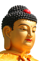 fantasy & Gautama Buddha free transparent png image.