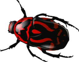 insects & bugs free transparent png image.