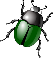 insects & Bugs free transparent png image.