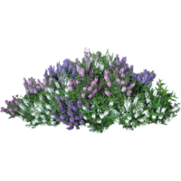 nature & Bushes free transparent png image.