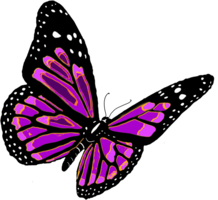 insects & butterfly free transparent png image.