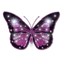 insects & butterfly free transparent png image.