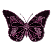 insects & Butterfly free transparent png image.