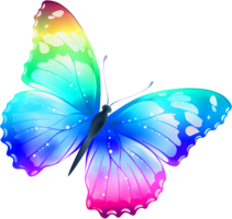 insects & butterfly free transparent png image.