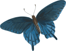 insects & butterfly free transparent png image.