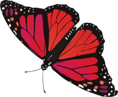 insects & Butterfly free transparent png image.