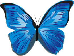 insects & butterfly free transparent png image.