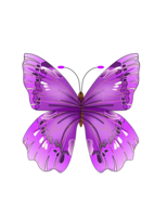 insects & Butterfly free transparent png image.
