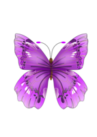 insects & butterfly free transparent png image.