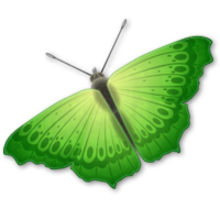 insects & butterfly free transparent png image.