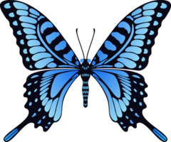 insects & butterfly free transparent png image.