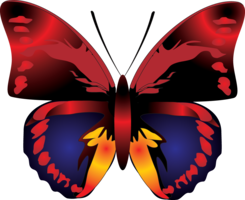insects & Butterfly free transparent png image.
